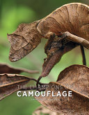 The champions of camouflage by Noël, Jean-Philippe